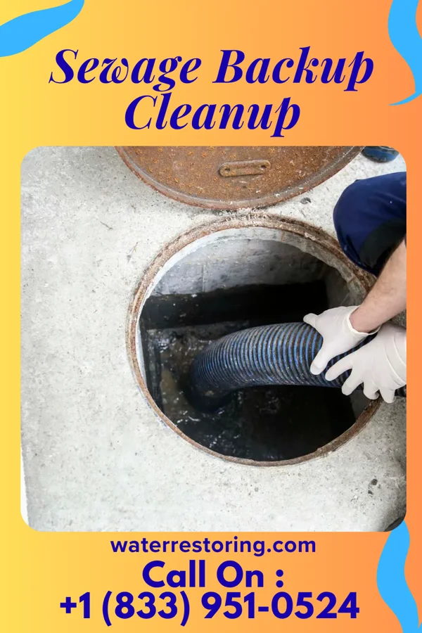Sewage Backup Cleanup in Robinson, KS